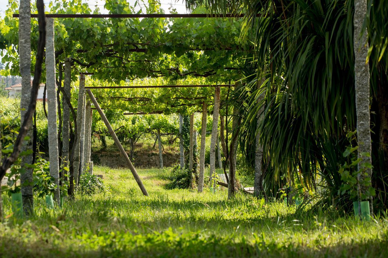 Hostal Quinta de Lourosa Lousada Exterior foto